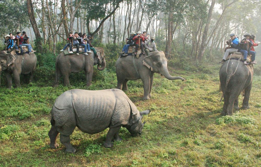 [Image: v%C6%B0%E1%BB%9Dn-qu%E1%BB%91c-gia-Chitwan.jpg]