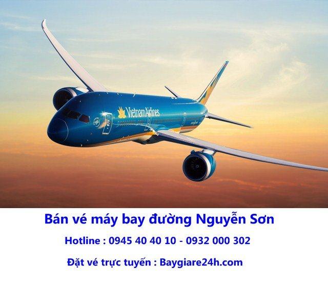 may-bay-vietnam-airline